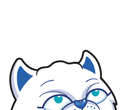 Character Image