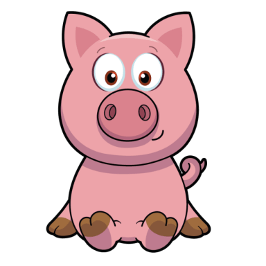 Patient Pig