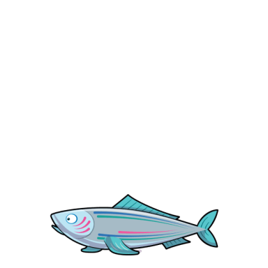 Spiffy Salmon